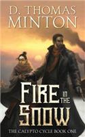 Fire in the Snow
