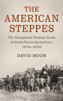 American Steppes