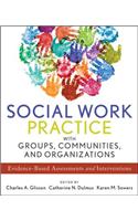 Social Work Practice with Groups, Communities, and Organizations