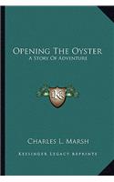 Opening The Oyster