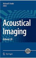 Acoustical Imaging