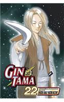 Gin Tama, Vol. 22: (22 Gin Tama)