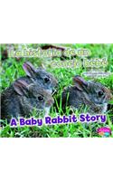 La Historia de un Conejo Bebe/A Baby Rabbit Story