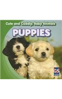 Puppies