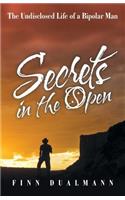 Secrets in the Open: The Undisclosed Life of a Bipolar Man(English)