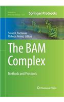 Bam Complex