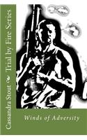 Trial by Fire Series