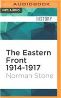 Eastern Front 1914-1917