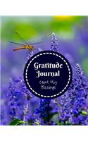 Gratitude Journal