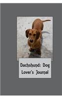 Dachshund