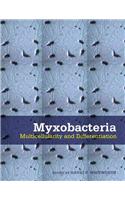 Myxobacteria