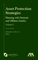 Asset Protection Strategies: Wealth Preservation Planning with Domestic and Offshore Entities