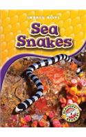 Sea Snakes