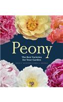 Peony