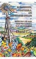 Bluebonnets, Firewheels, and Brown-Eyed Susans, Or, Poems New and Used from the Bandera Rag and Bone Shop