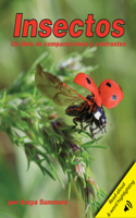 Insectos: Un Libro de Comparaciones Y Contrastes