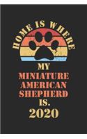 Miniature American Shepherd 2020