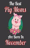 The Best Pig Moms Are Born In November