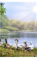 Wild Geese Notebook