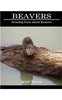 Amazing Facts about Beavers