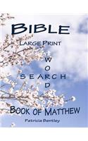 Bible Large Print Word Search