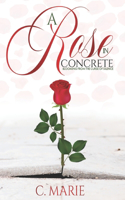 Rose in Concrete