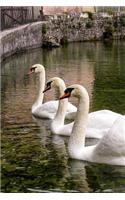 Three White Swans in a Row in a Rome, Italy Fountain Journal: Take Notes, Write Down Memories in this 150 Page Lined Journal