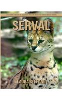 Serval