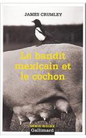 Bandit Mexicain Et Le Co