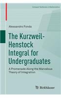 The Kurzweil-Henstock Integral for Undergraduates