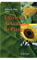 Ethylene Action in Plants