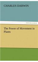 Power of Movement in Plants