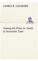 Among the Pines or, South in Secession Time
