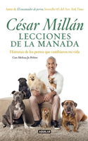 Lecciones de la Manada / Cesar Millan's Lessons from the Pack