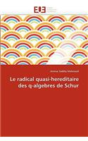 Le Radical Quasi-Hereditaire Des Q-Algebres de Schur