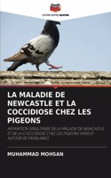 Maladie de Newcastle Et La Coccidiose Chez Les Pigeons