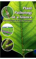 Plant Pathology at a Glance (Encyclopedia of Plant Pathology)