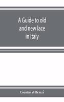 A guide to old and new lace in Italy: exhibited at Chicago in 1893