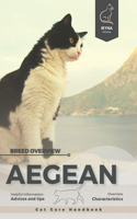 Aegean