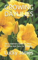 Growing Daylilies