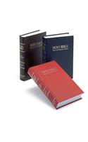 NIV Worship Bible: New International Version Large-Print Worship Bible/Brown(English)