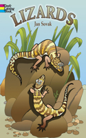 Lizards: (Dover Nature Coloring Book)