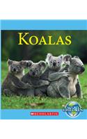 Koalas (Nature's Children) (Library Edition)