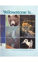Yellowstone Is