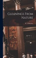Gleanings From Nature