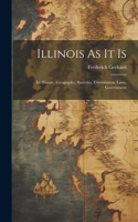 Illinois As It Is: Its History, Geography, Statistics, Constitution, Laws, Government