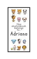 Adriana Sketchbook