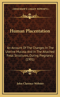 Human Placentation: An Account Of The Changes In The Uterine Mucosa And In The Attached Fetal Structures, During Pregnancy (1901)