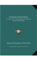 Consciousness: A Study of the Absolute (Large Print Edition)