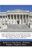 Causes and Movement of Landslides at Rainbow Creek and Rattlesnake Gulf in the Tully Valley, Onondaga County, New York